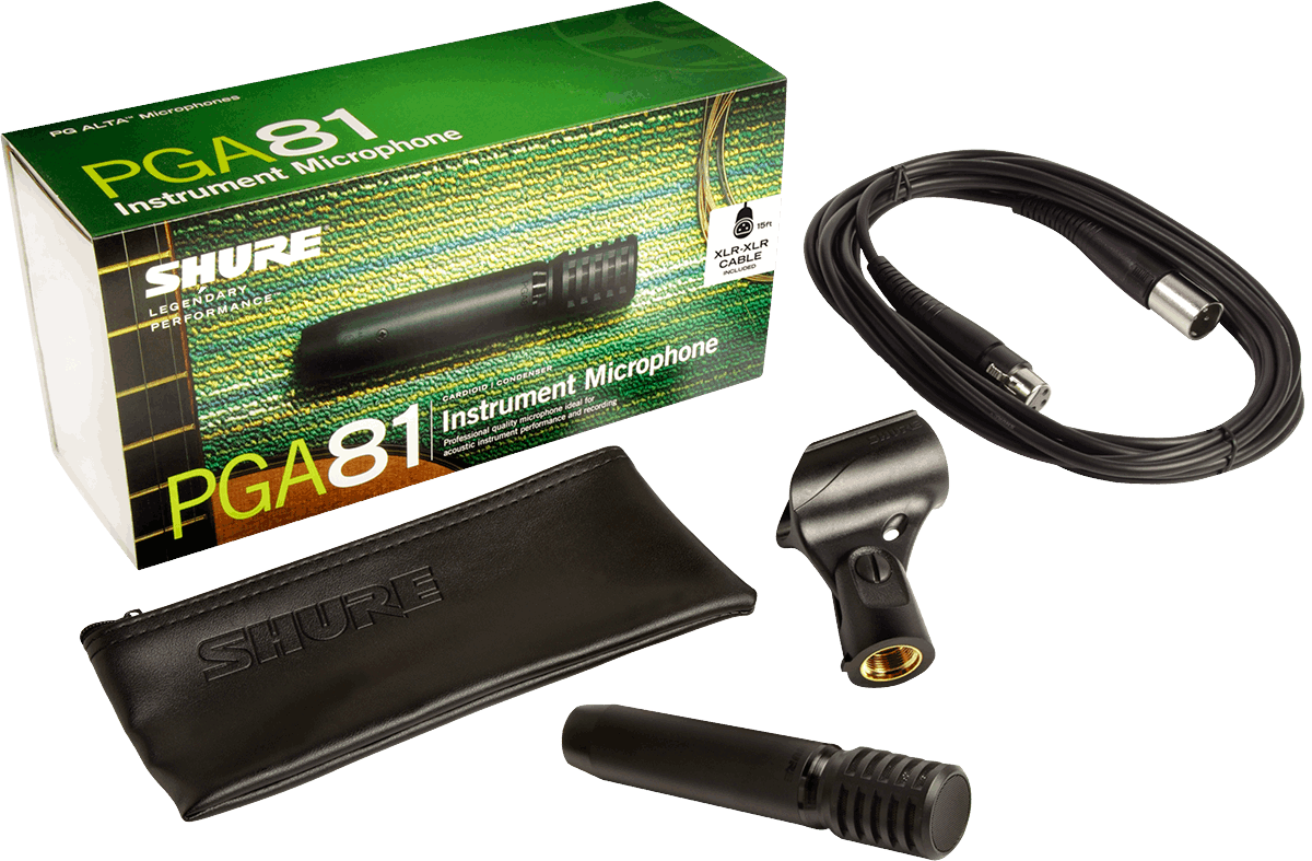 PGA81