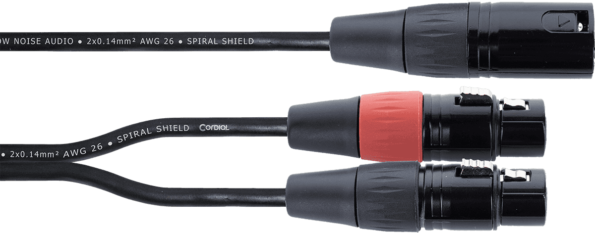 Câble Y Bretelle XLR Mâle / 2 XLR Femelle 30 CM
