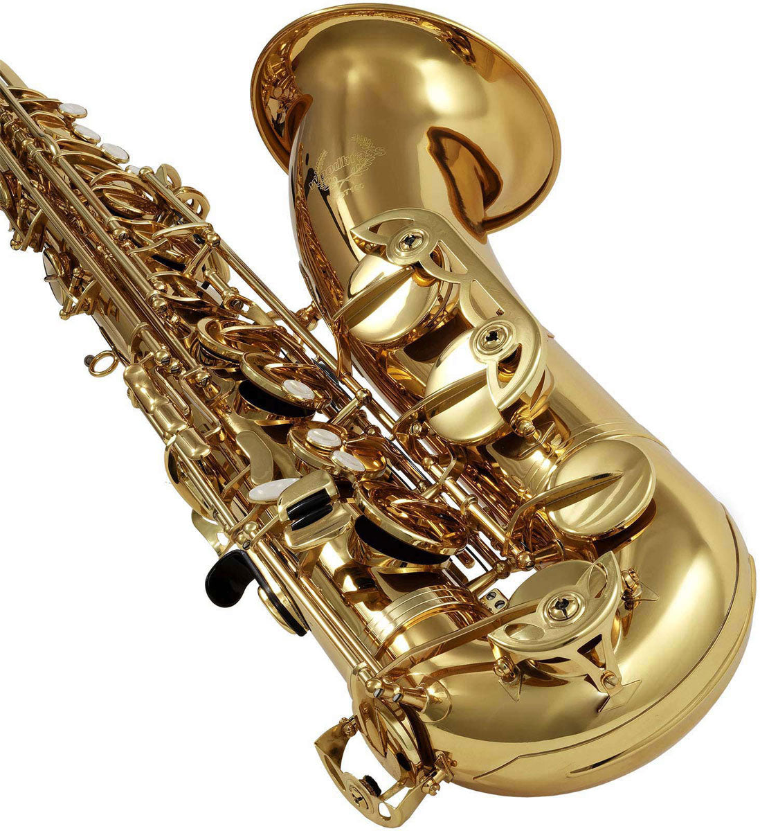 WST100 - Tenor Bes Gelakt