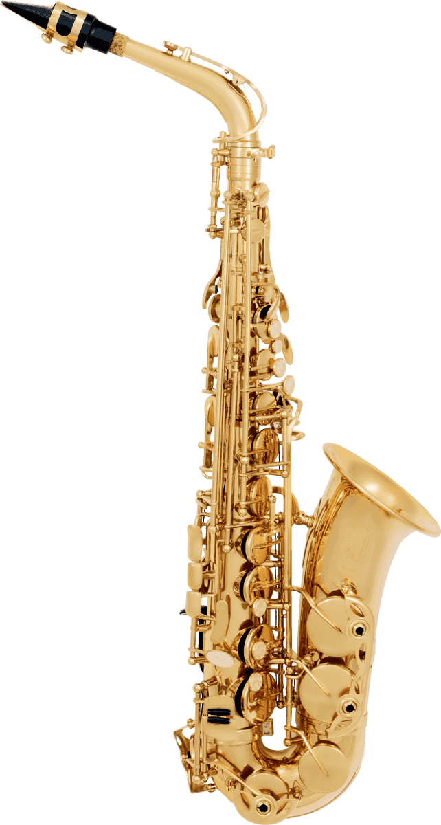 SML Paris A300 Alto Mib Verni