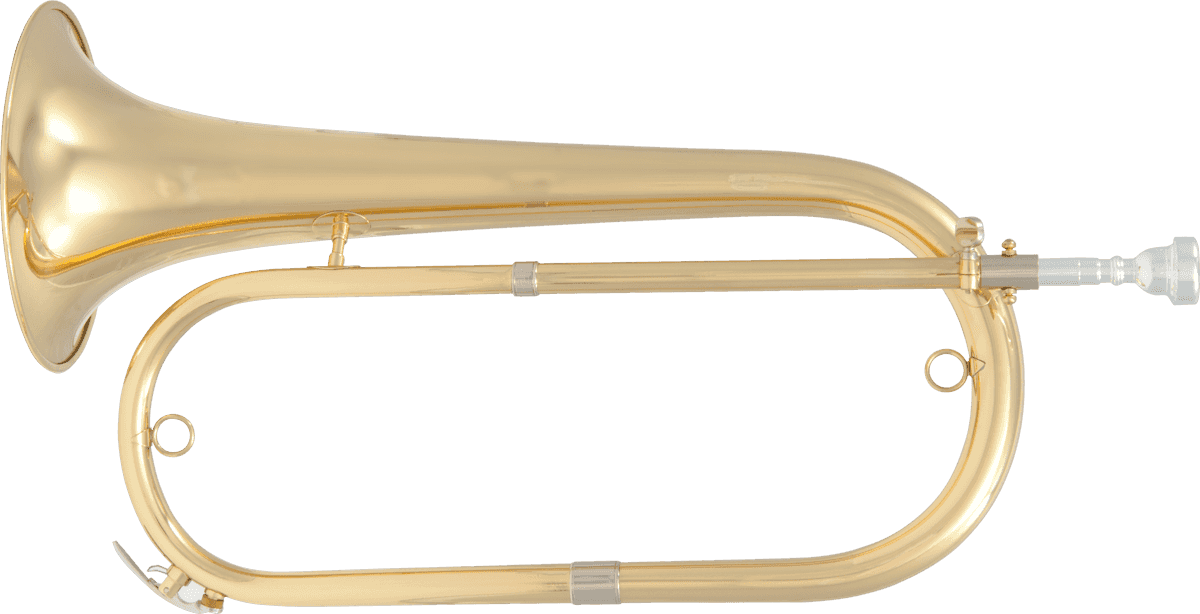 SML Paris Bugle Naturel Sib Verni (Gigbag)