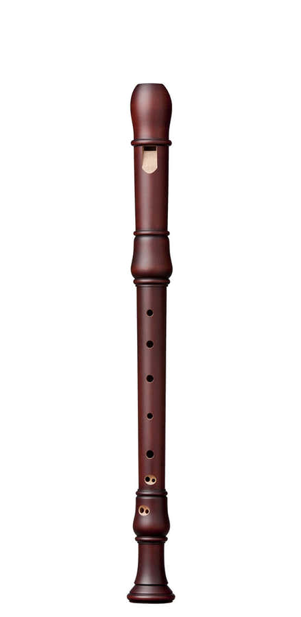 Studio Alto Poirier Teinté 1411