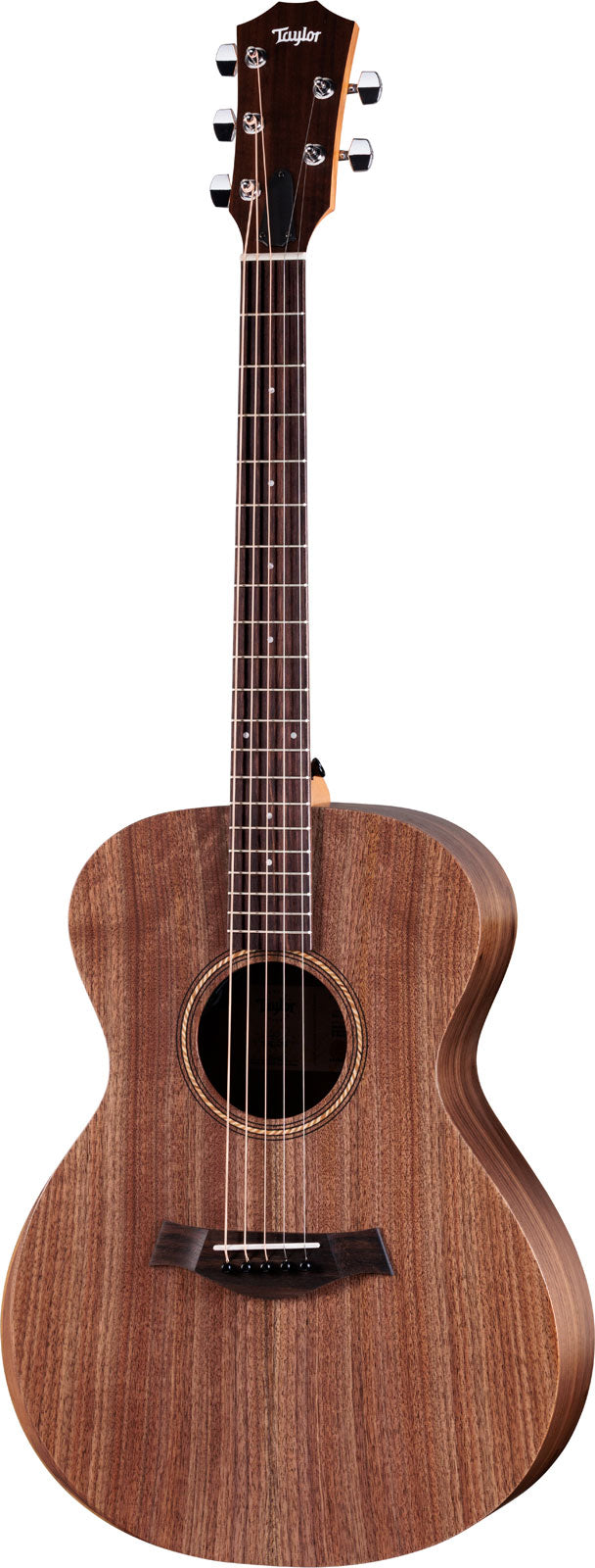 Jacob Collier Signature Model Academy 22e 5-string Natural Grand Concert