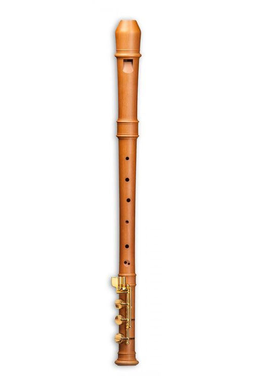 Modern Alto 5926E - Poirier + Patte De Mi (Doigté Baroque)