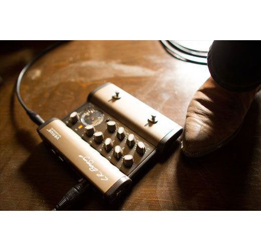 Venue Voorversterker EQ Tuner Folk - Gereviseerd