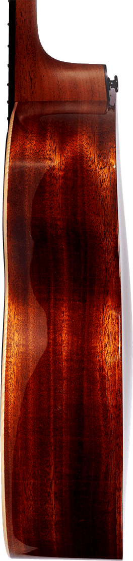 Travel Spruce E