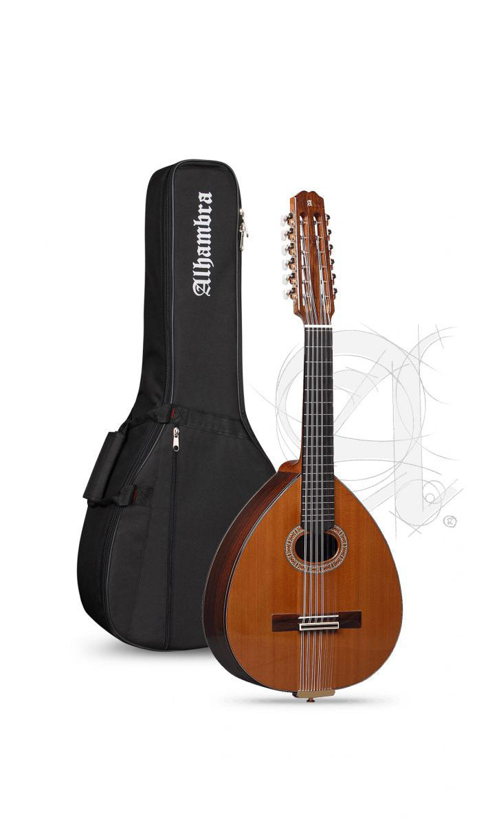 Conservatory L-6P A Lutes + 9534 Gigbag