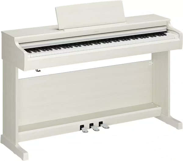 YDP-166 Blanc bouleau