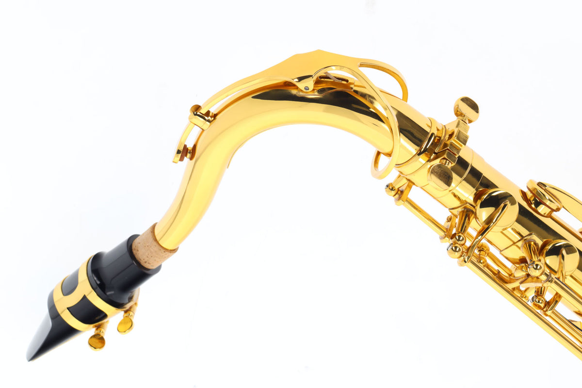 WST300 - Tenor Bes Gelakt