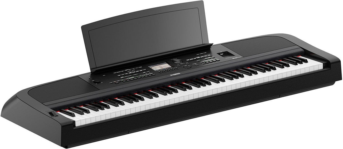 DGX-670 Zwart