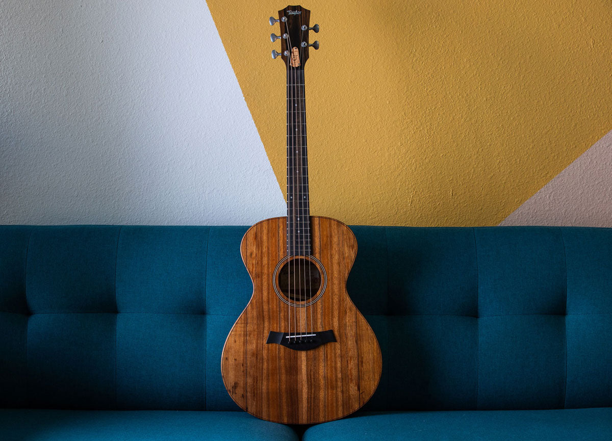 Jacob Collier Signature Model JCSM 5-string Natural Grand Concert