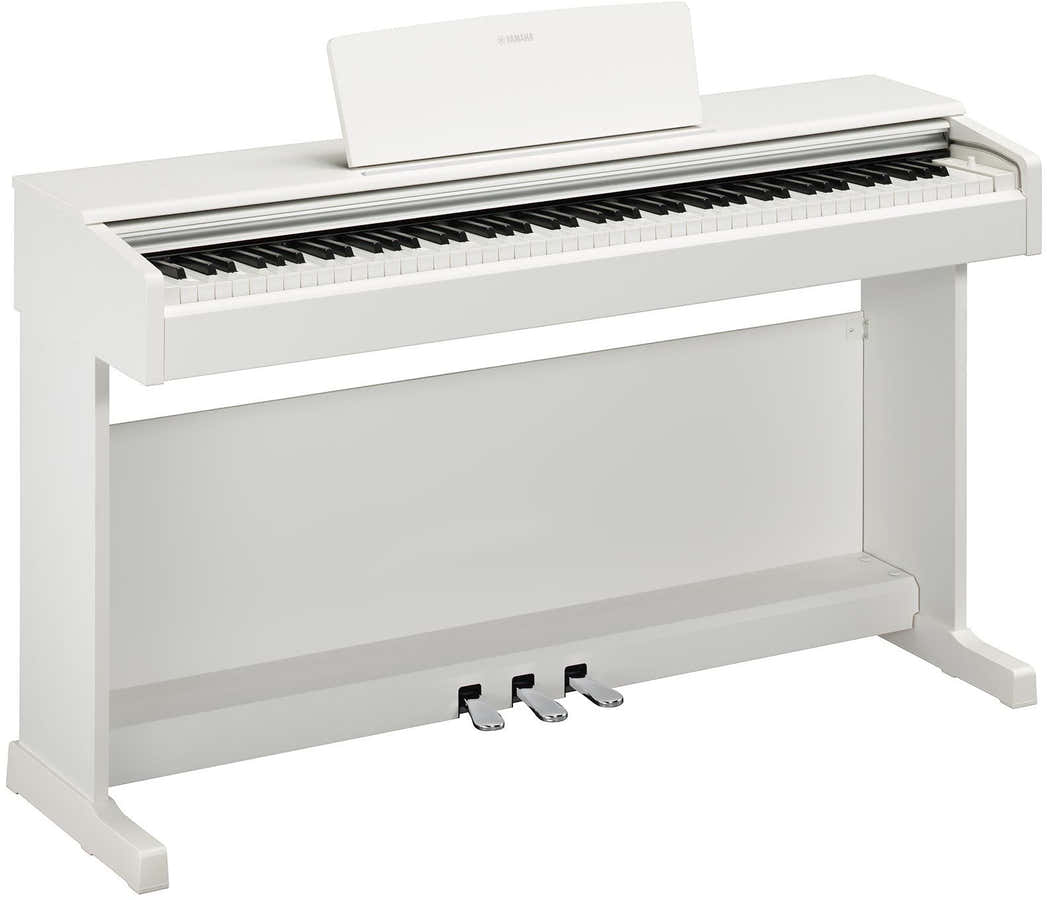 Arius YDP-145 Blanc