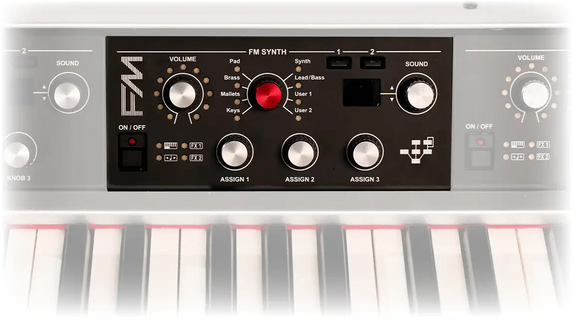 FM-module