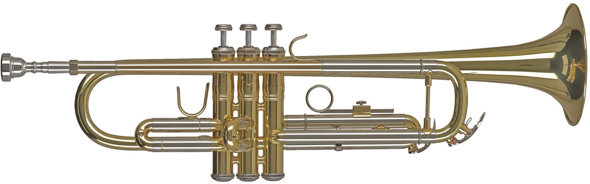 Gewa Ambition TR650 Sib Vernie