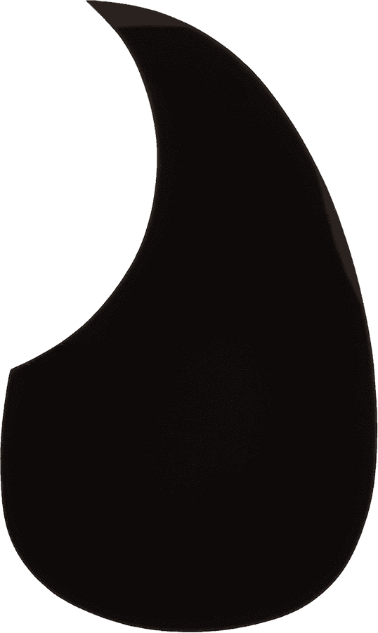 ACCESSORIES PART PARTS DETAILED PICKGUARD BLACK WIDE