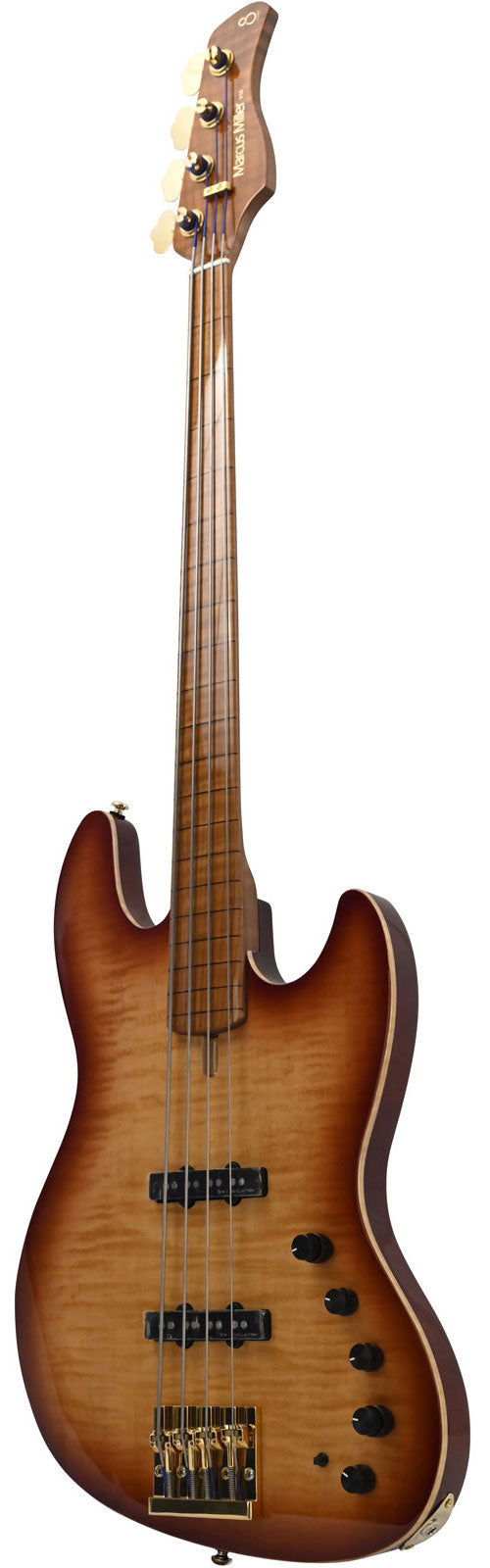 V10 Dx Swamp Ash-4 Fl Ts Mn + Étui