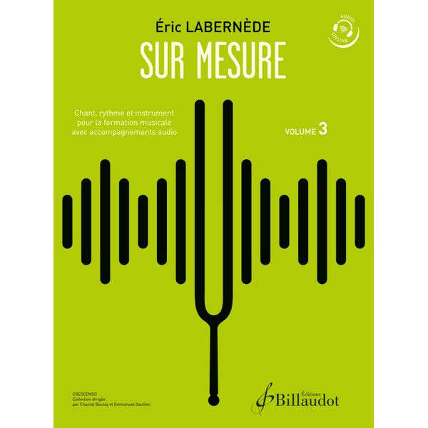 LABERNEDE ERIC - SUR MESURE VOLUME 3