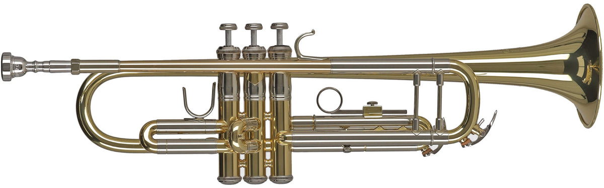 Gewa Ambition TR501 Sib Vernie