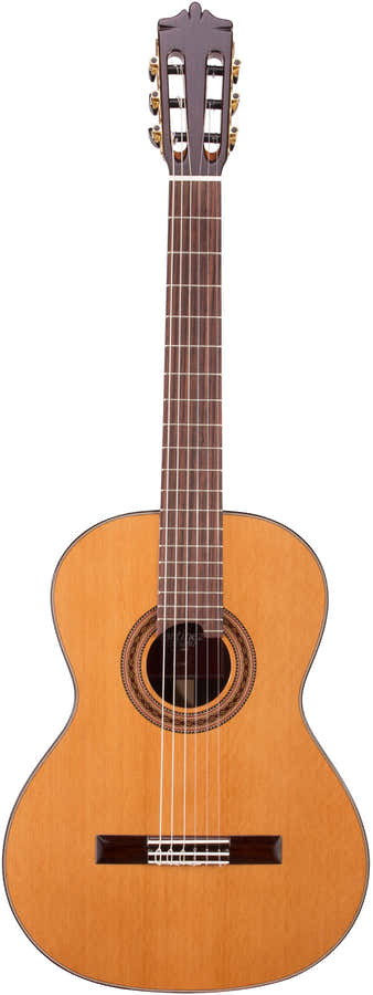 Standard MC-58C RN Naturel