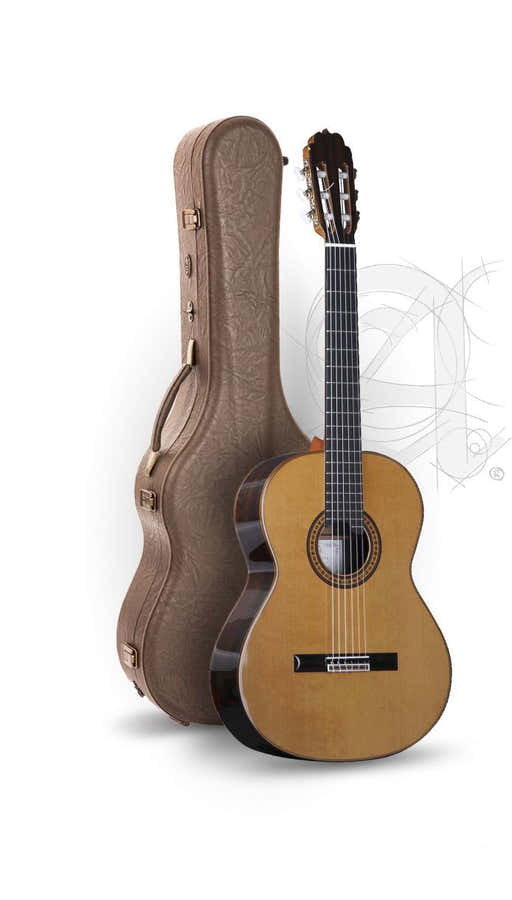 Professionnel Luthier Aniversario + 9650 Bam Iconic Etui
