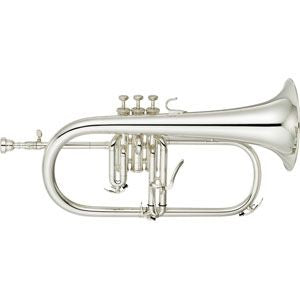 YFH8310ZS Custom Z Bes Zilver