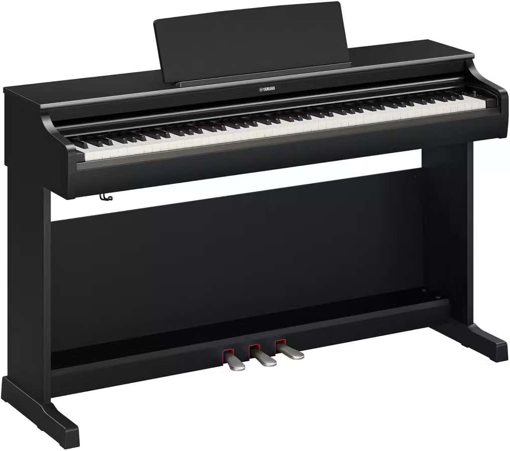YDP-166 Noir