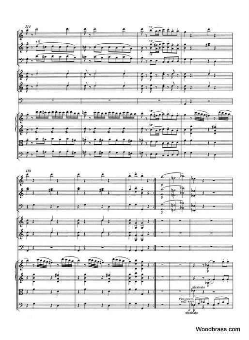 Mozart W.-a. - Symphonie N41 Jupiter KV551 - Conducteur