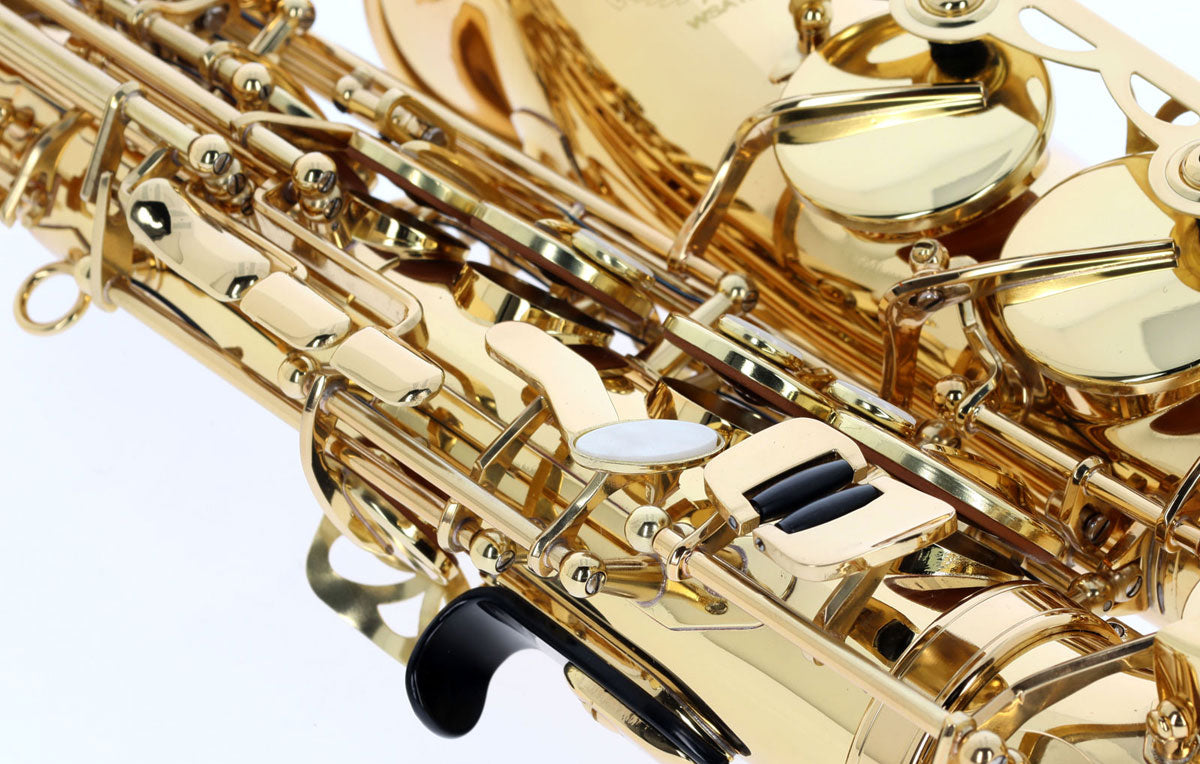WSA100 - Alto Mib Verni