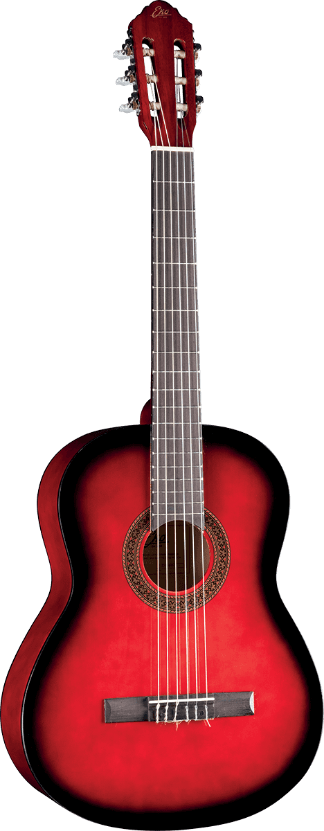 CS-10 4/4 Red Burst + Housse