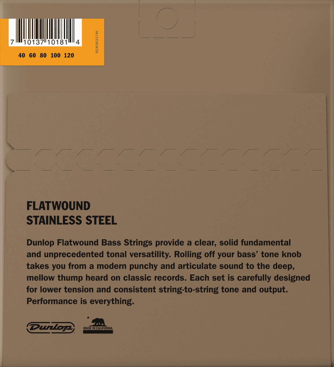 DBFS40120 Stainless Steel Filets Plats Long Scale 5C 40-120