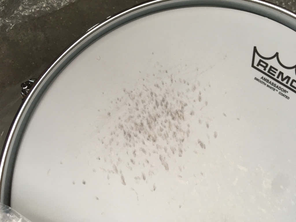 President Phenolic Rock 22 Pearl White Oyster - Stock B