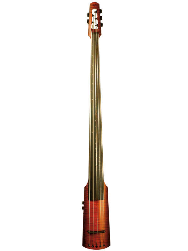 Nxta - Contrebasse Électrique Sunburst (5 Cordes)