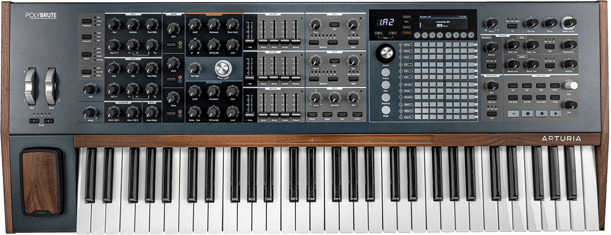 Polybrute