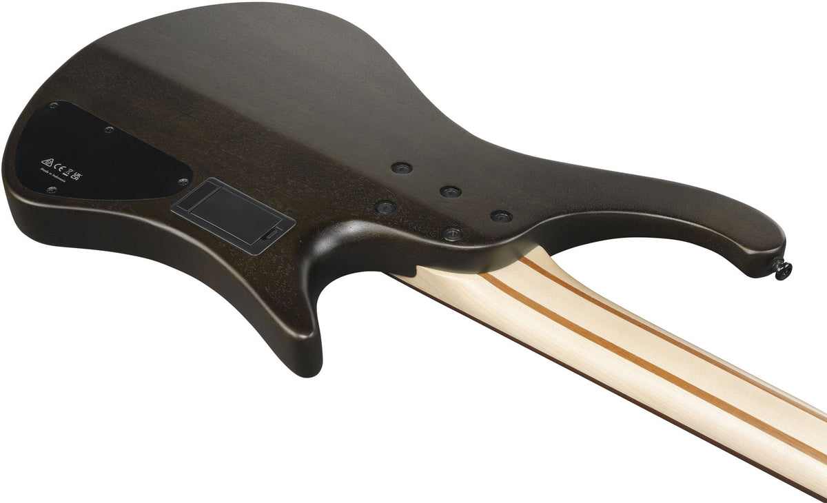 EHB6L Bass Workshop LTD Edition Linkshandig Walnoot Mat