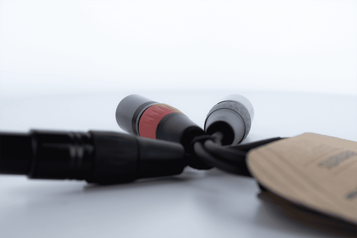 Câble Y Bretelle XLR Femelle / 2 XLR Mâle 30 CM
