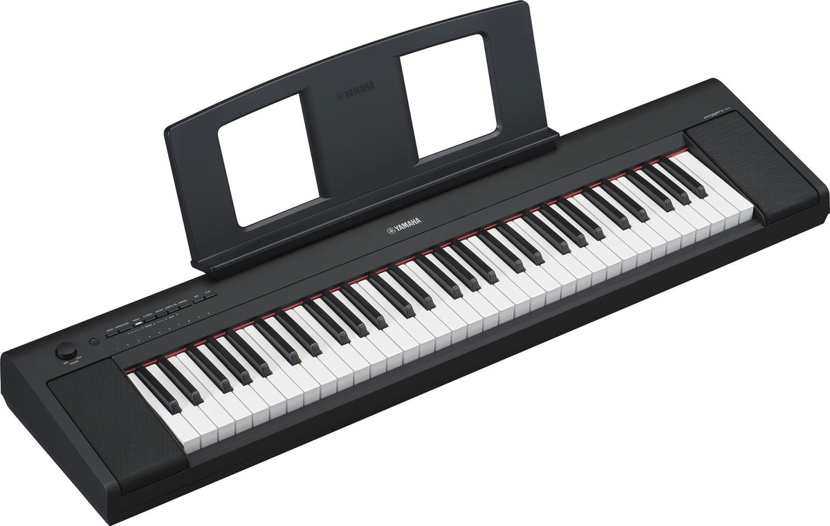 NP-15 Zwart