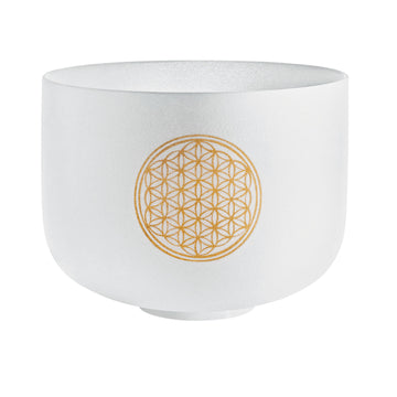 Singing Bowl Sonic Energy Cristal 10"