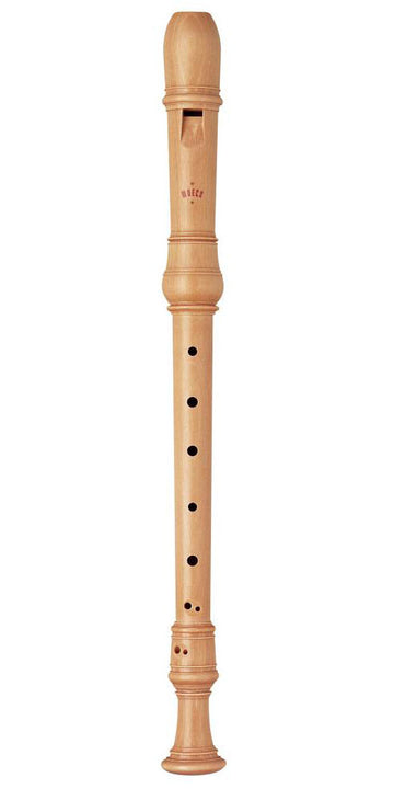 Alto Rottenburgh 4300 - Erable