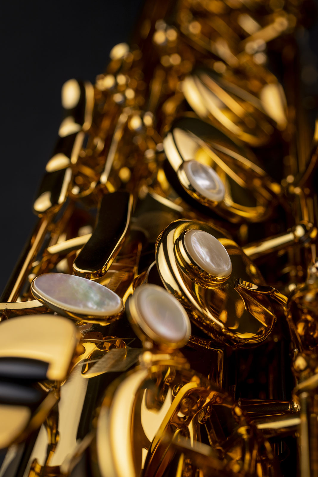 Signature - Bes-Tenor Gelakt