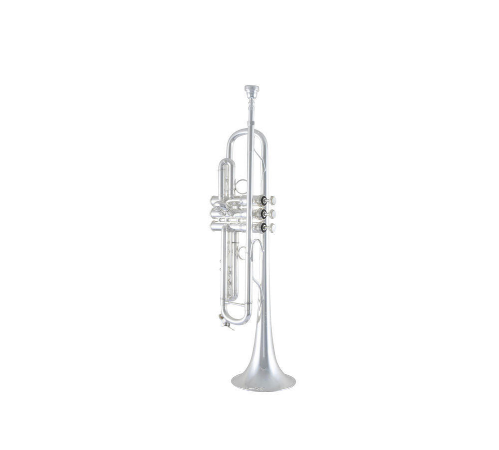 LT180S77 Stradivarius New York #7 - Bes Verzilverde