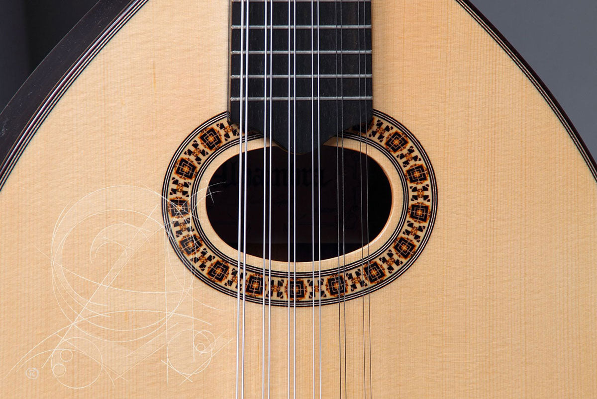 Conservatory L-6P A Lutes + 9534 Gigbag