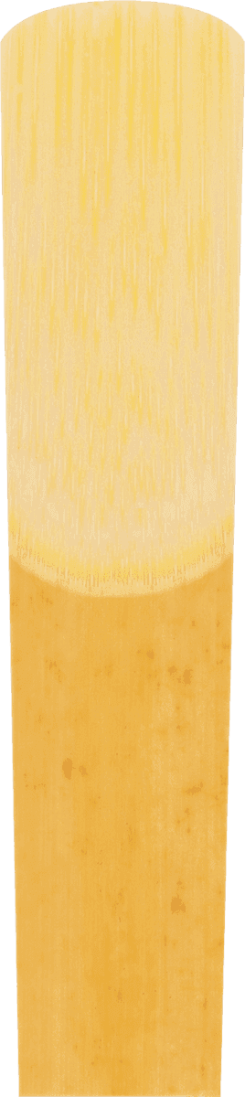 V21 3 - Saxophone Alto