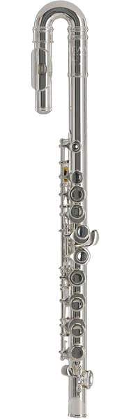 Gewa Ambition FL655 (Volledige Kleppen - Kind)