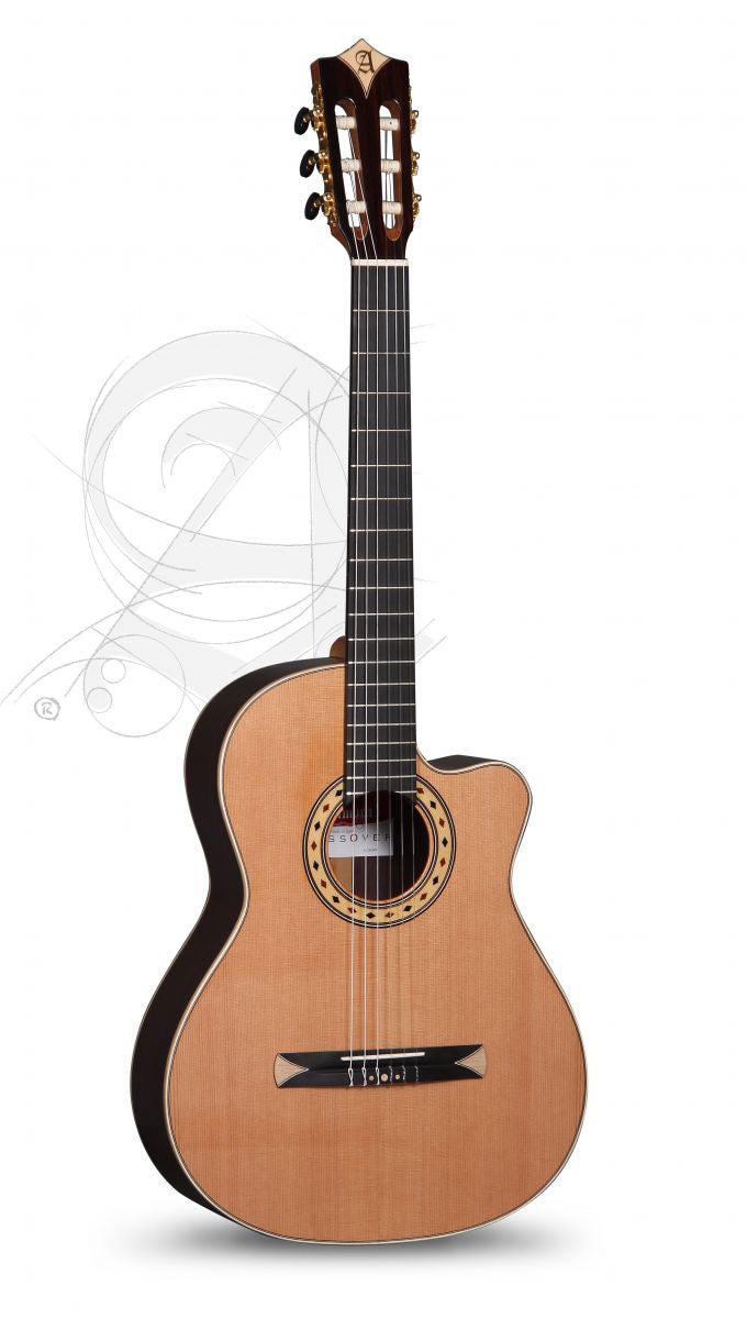 Concert CS-3 CW E8 Crossover + 9738 25MM Housse - Reconditionné