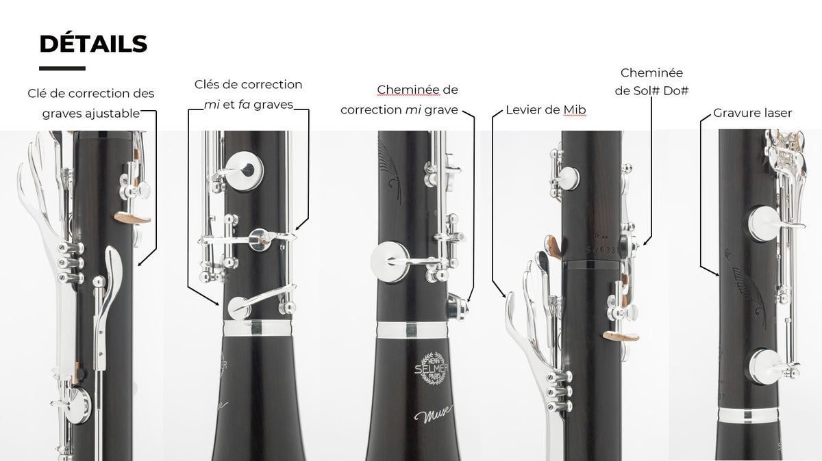 Muse Sib (18 Clés)