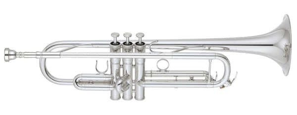 YTR6335RCS Bes Verzilverde