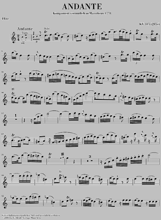 Mozart W.a. - Andante For Flute And Orchestra C Major KV 315