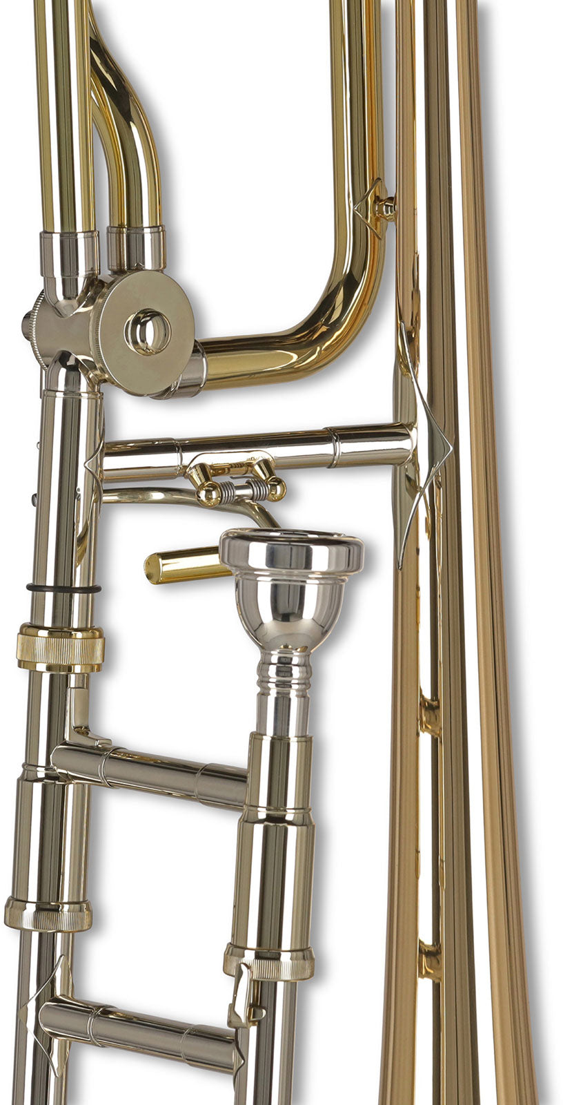 Vision TB236FG Sib/Fa Verni/Cuivre Rose