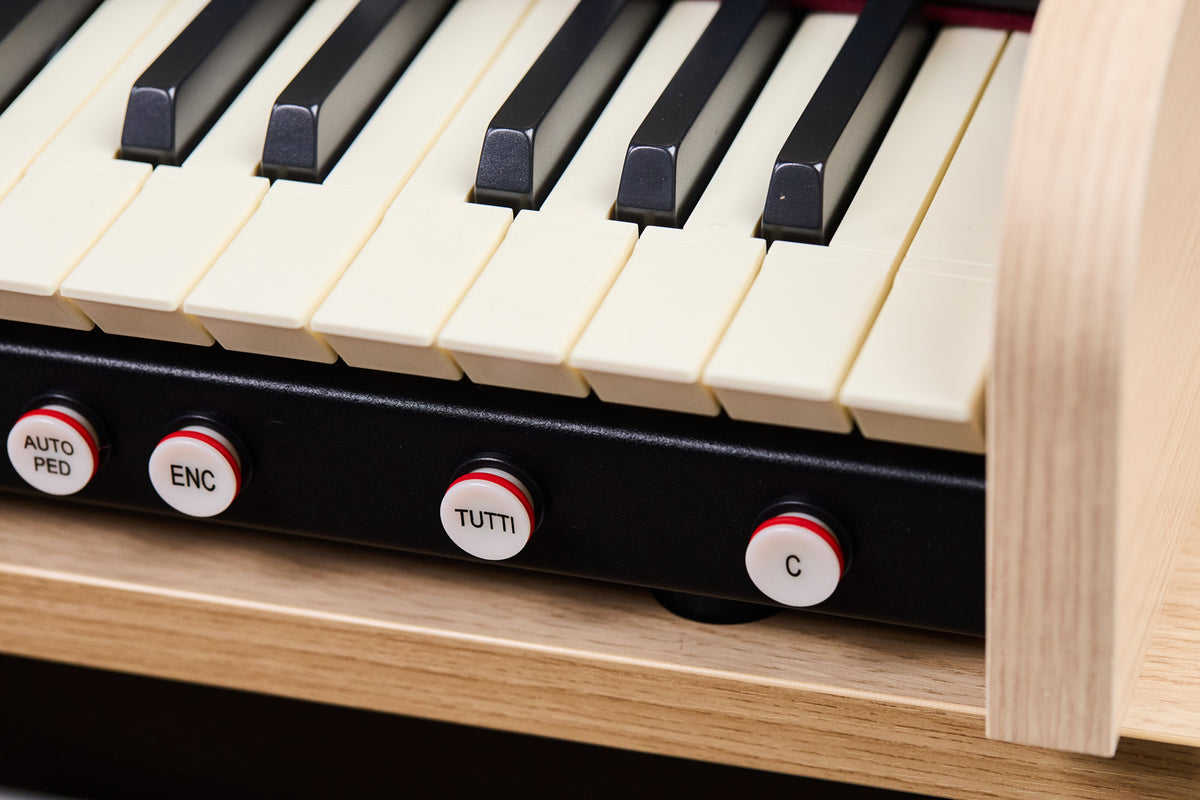 Cantorum Duo plus