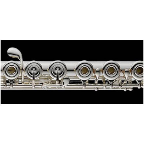 AZS2RBI Ut - S-cut - Patte De Si